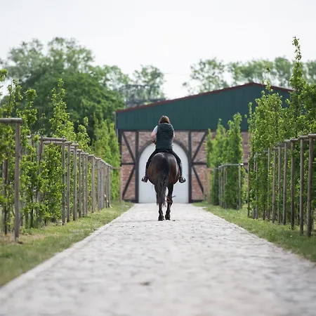 Landgut Ziegler Apartmán Friesack