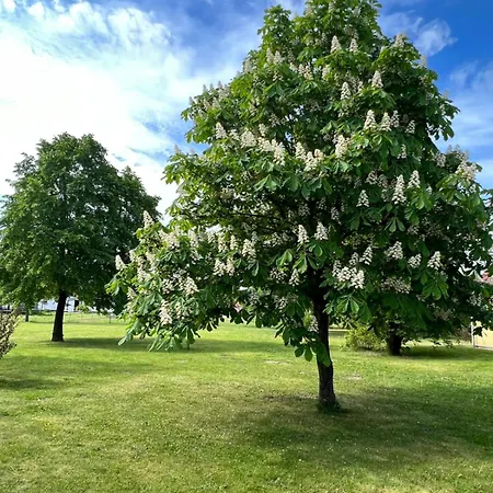 Apartmán Landgut Ziegler
