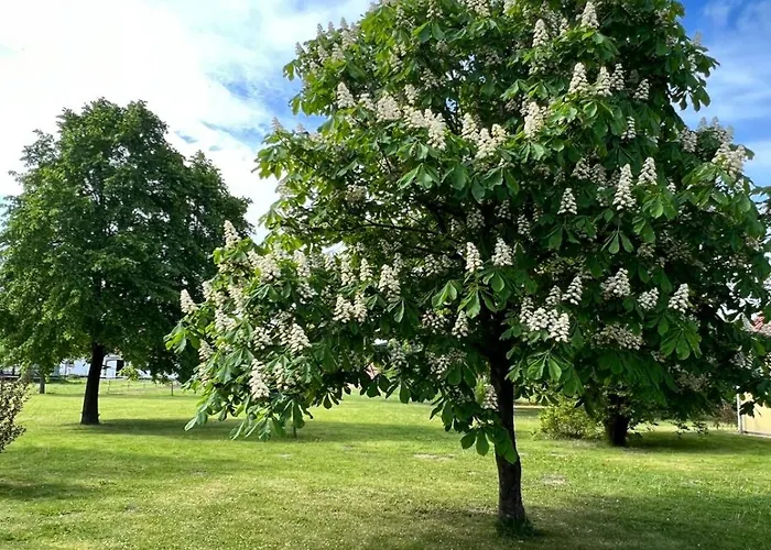 Lejlighed Landgut Ziegler